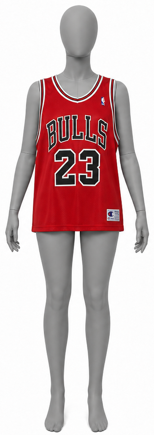 Chicago Bulls #23